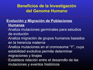 Beneficios de la Investigación
del Genoma Humano
Evolución y Migración de Poblaciones
Humanas
• Analiza mutaciones germinales para estudios
de evolución
• Analiza migración de grupos humanos basados
en la herencia materna
• Analiza mutaciones en el cromosoma “Y”, cuya
estabilidad evolutiva permite determinar
migraciones y linajes
• Establece relación entre el desarrollo de las
mutaciones y eventos históricos
 