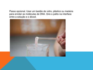 Passo opcional. Usar um bastão de vidro, plástico ou madeira
para enrolar as moléculas de DNA. Gire o palito na interface
entre a solução e o álcool.
 