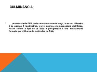 CULMINÂNCIA:
* A molécula de DNA pode ser extremamente longa, mas seu diâmetro
é de apenas 2 nanômetros, visível apenas em microscopia eletrônica.
Assim sendo, o que se vê após a precipitação é um emaranhado
formado por milhares de moléculas de DNA.
 