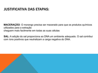 MACERAÇÃO: O morango precisa ser macerado para que os produtos químicos
utilizados para a extração
cheguem mais facilmente em todas as suas células
SAL: A adição do sal proporciona ao DNA um ambiente adequado. O sal contribui
com íons positivos que neutralizam a carga negativa do DNA.
JUSTIFICATIVA DAS ETAPAS:
 