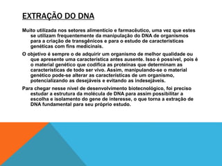 EXTRAÇÃO DO DNA
Muito utilizada nos setores alimentício e farmacêutico, uma vez que estes
se utilizam frequentemente da manipulação do DNA de organismos
para a criação de transgênicos e para o estudo de características
genéticas com fins medicinais.
O objetivo é sempre o de adquirir um organismo de melhor qualidade ou
que apresente uma característica antes ausente. Isso é possível, pois é
o material genético que codifica as proteínas que determinam as
características de todo ser vivo. Assim, manipulando-se o material
genético pode-se alterar as características de um organismo,
potencializando as desejáveis e evitando as indesejáveis.
Para chegar nesse nível de desenvolvimento biotecnológico, foi preciso
estudar a estrutura da molécula de DNA para assim possibilitar a
escolha e isolamento do gene de interesse, o que torna a extração de
DNA fundamental para seu próprio estudo.
 