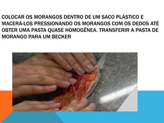 COLOCAR OS MORANGOS DENTRO DE UM SACO PLÁSTICO E
MACERÁ-LOS PRESSIONANDO OS MORANGOS COM OS DEDOS ATÉ
OBTER UMA PASTA QUASE HOMOGÊNEA. TRANSFERIR A PASTA DE
MORANGO PARA UM BECKER
 