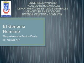 Mary Alexandra Barrios Dávila
CI: 18.620.737
UNIVERSIDAD YACAMBÚ
FACULTAD DE HUMANIDADES
DEPARTAMENTO DE ESTUDIOS GENERALES
LICENCIATURA EN PSICOLOGÍA
CATEDRA: GENETICA Y CONDUCTA.
 