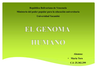 República Bolivariana de Venezuela
Ministerio del poder popular para la educación universitaria
Universidad Yacambú
Alumna:
• Maria Toro
C.I: 25.302.299
 