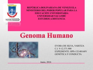REPÚBLICA BOLIVARIANA DE VENEZUELA
MINISTERIO DEL PODER POPULAR PARA LA
EDUCACIÓN UNIVERSITARIA
UNIVERSIDAD YACAMBÚ
ESTUDIOS A DISTANCIA
EVORA DE SILVA, YARITZA
C.I. V-12.371.908
EXPEDIENTE: HPS-132-00168V
GENÉTICA Y CONDUCTA
Junio, 2016
 