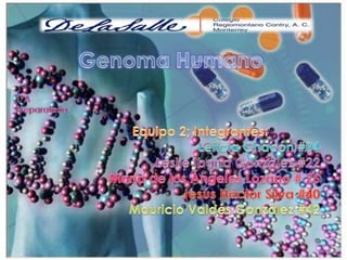 Genoma humano biología
