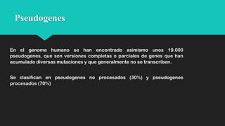 Pseudogenes

En el genoma humano se han encontrado asimismo unos 19.000
pseudogenes, que son versiones completas o parciales de genes que han
acumulado diversas mutaciones y que generalmente no se transcriben.
Se clasifican en pseudogenes no procesados (30%) y pseudogenes
procesados (70%)

 