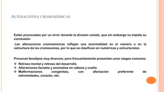 ALTERACIONES CROMOSÓMICAS

Están provocadas por un error durante la división celular, que sin embargo no impide su
conclusión.
Las alteraciones cromosómicas reflejan una anormalidad en el número o en la
estructura de los cromosomas, por lo que se clasifican en numéricas y estructurales.

Provocan fenotipos muy diversos, pero frecuentemente presentan unos rasgos comunes:
 Retraso mental y retraso del desarrollo.
 Alteraciones faciales y anomalías en cabeza y cuello.
 Malformaciones
congénitas,
con
afectación
extremidades, corazón, etc.

preferente

de

 