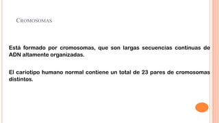 CROMOSOMAS

Está formado por cromosomas, que son largas secuencias continuas de
ADN altamente organizadas.
El cariotipo humano normal contiene un total de 23 pares de cromosomas
distintos.

 