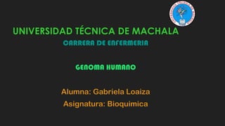 UNIVERSIDAD TÉCNICA DE MACHALA
CARRERA DE ENFERMERIA
GENOMA HUMANO

Alumna: Gabriela Loaiza
Asignatura: Bioquimica

 