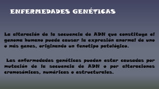 ENFERMEDADES GENÉTICAS

La alteración de la secuencia de ADN que constituye el
genoma humano puede causar la expresión anormal de uno
o más genes, originando un fenotipo patológico.

Las enfermedades genéticas pueden estar causadas por
mutación de la secuencia de ADN o por alteraciones
cromosómicas, numéricas o estructurales.

 