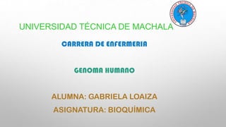 UNIVERSIDAD TÉCNICA DE MACHALA
CARRERA DE ENFERMERIA
GENOMA HUMANO
ALUMNA: GABRIELA LOAIZA
ASIGNATURA: BIOQUÍMICA

 