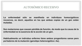 AUTOSÓMICO RECESIVO
La enfermedad sólo se manifiesta en individuos homocigóticos
recesivos, es decir, aquellos en los que ambas copias de un gen están
mutadas.
Son mutaciones que causan pérdida de función, de modo que la causa de la
enfermedad es la ausencia de la acción de un gen.

Habitualmente un individuo enfermo tiene ambos progenitores sanos pero
portadores de la mutación (genotipo heterocigótico: Aa).

 