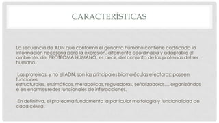 CARACTERÍSTICAS

La secuencia de ADN que conforma el genoma humano contiene codificada la
información necesaria para la expresión, altamente coordinada y adaptable al
ambiente, del PROTEOMA HUMANO, es decir, del conjunto de las proteínas del ser
humano.
Las proteínas, y no el ADN, son las principales biomoléculas efectoras; poseen
funciones
estructurales, enzimáticas, metabólicas, reguladoras, señalizadoras..., organizándos
e en enormes redes funcionales de interacciones.
En definitiva, el proteoma fundamenta la particular morfología y funcionalidad de
cada célula.

 