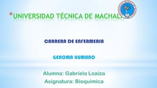 *UNIVERSIDAD TÉCNICA DE MACHALA
CARRERA DE ENFERMERIA
GENOMA HUMANO
Alumna: Gabriela Loaiza
Asignatura: Bioquimica

 