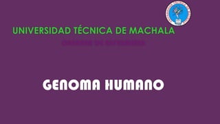 UNIVERSIDAD TÉCNICA DE MACHALA
CARRERA DE ENFERMERIA

GENOMA HUMANO

 