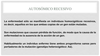 AUTOSÓMICO RECESIVO
La enfermedad sólo se manifiesta en individuos homocigóticos recesivos,
es decir, aquellos en los que ambas copias de un gen están mutadas.
Son mutaciones que causan pérdida de función, de modo que la causa de la
enfermedad es la ausencia de la acción de un gen.
Habitualmente un individuo enfermo tiene ambos progenitores sanos pero
portadores de la mutación (genotipo heterocigótico: Aa).

 