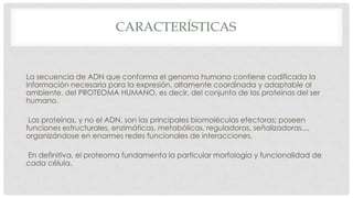 CARACTERÍSTICAS

La secuencia de ADN que conforma el genoma humano contiene codificada la
información necesaria para la expresión, altamente coordinada y adaptable al
ambiente, del PROTEOMA HUMANO, es decir, del conjunto de las proteínas del ser
humano.
Las proteínas, y no el ADN, son las principales biomoléculas efectoras; poseen
funciones estructurales, enzimáticas, metabólicas, reguladoras, señalizadoras...,
organizándose en enormes redes funcionales de interacciones.

En definitiva, el proteoma fundamenta la particular morfología y funcionalidad de
cada célula.

 
