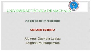 UNIVERSIDAD TÉCNICA DE MACHALA
CARRERA DE ENFERMERIA
GENOMA HUMANO
Alumna: Gabriela Loaiza
Asignatura: Bioquímica

 