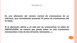 NUMÉRICAS

Es una alteración del número normal de cromosomas de un
individuo, que normalmente presenta 23 pares de cromosomas (46
en total).

Si la alteración afecta a un sólo par de cromosomas se habla de
ANEUPLOIDÍA, de manera que puede haber un sólo cromosoma
(monosomía) o más de dos (trisomía, tetrasomía...).

 