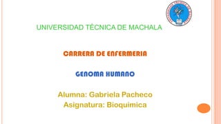 UNIVERSIDAD TÉCNICA DE MACHALA

CARRERA DE ENFERMERIA
GENOMA HUMANO

Alumna: Gabriela Pacheco
Asignatura: Bioquimica

 