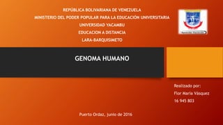 REPÚBLICA BOLIVARIANA DE VENEZUELA
MINISTERIO DEL PODER POPULAR PARA LA EDUCACIÓN UNIVERSITARIA
UNIVERSIDAD YACAMBU
EDUCACION A DISTANCIA
LARA-BARQUISIMETO
GENOMA HUMANO
Realizado por:
Flor María Vásquez
16 945 803
Puerto Ordaz, junio de 2016
 