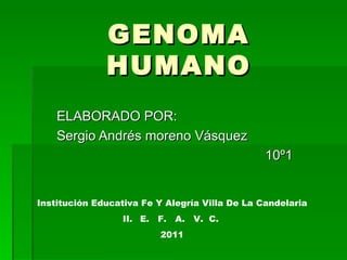 GENOMA HUMANO ELABORADO POR: Sergio Andrés moreno Vásquez 10º1 ,[object Object],[object Object],[object Object]
