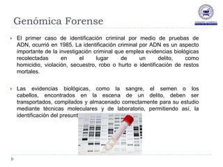 Genómica Forense
   El primer caso de identificación criminal por medio de pruebas de
    ADN, ocurrió en 1985. La identificación criminal por ADN es un aspecto
    importante de la investigación criminal que emplea evidencias biológicas
    recolectadas      en     el     lugar     de     un      delito,   como
    homicidio, violación, secuestro, robo o hurto e identificación de restos
    mortales.


   Las evidencias biológicas, como la sangre, el semen o los
    cabellos, encontrados en la escena de un delito, deben ser
    transportados, compilados y almacenado correctamente para su estudio
    mediante técnicas moleculares y de laboratorio, permitiendo así, la
    identificación del presunto sospechoso.
 