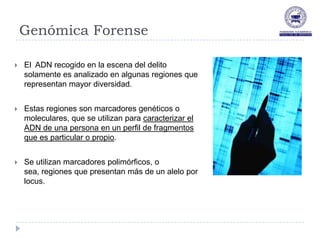 Genómica Forense

   El ADN recogido en la escena del delito
    solamente es analizado en algunas regiones que
    representan mayor diversidad.


   Estas regiones son marcadores genéticos o
    moleculares, que se utilizan para caracterizar el
    ADN de una persona en un perfil de fragmentos
    que es particular o propio.


   Se utilizan marcadores polimórficos, o
    sea, regiones que presentan más de un alelo por
    locus.
 