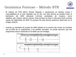 Genómica Forense – Método STR
   El método de STR (Short Tanden Repeats o repeticiones en tándem cortas o
    microsatélites) es el más utilizable hoy en día; con esta técnica es posible hacer la
    tipificación del ADN utilizando mínimas cantidades de muestra: como
    cabellos, piel, sangre, saliva o semen. Este proceso se hace in vitro para hacer muchas
    copias de fragmentos de ADN. El proceso de esta técnica podemos observarlo en la
    imagen anterior.


   Cuando un resultado de prueba de ADN hallado en la escena del crimen se compara
    con el ADN de un sospechoso y los perfiles coinciden, se puede aseverar que ese
    sospechoso estuvo implicado en el delito que se investiga.
 