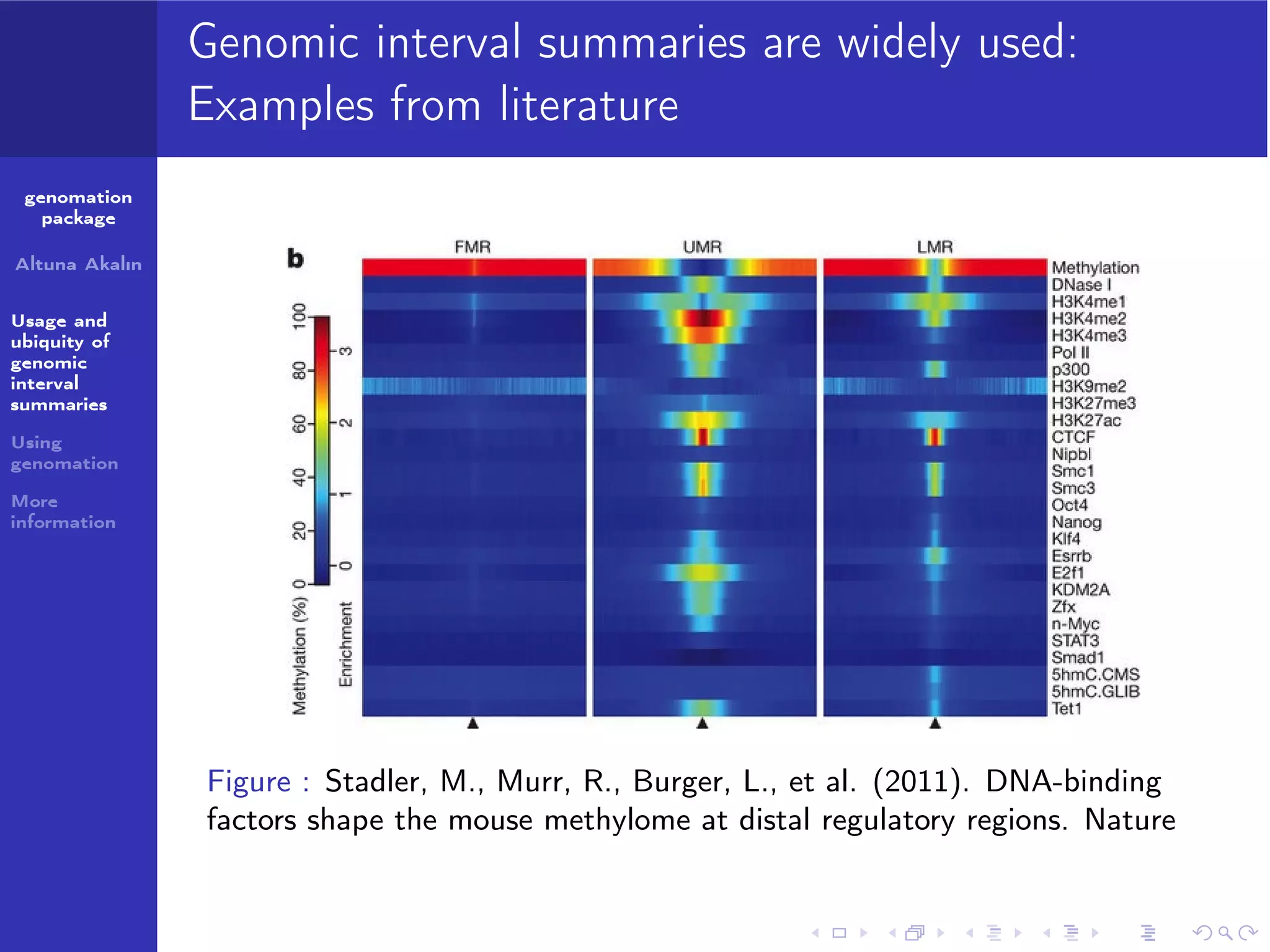 Genomic interval summaries are widely used:
Examples from literature
genomation
package
Altuna Akalın
Usage and
ubiquity of
genomic
interval
summaries
Using
genomation
More
information

Figure : Stadler, M., Murr, R., Burger, L., et al. (2011). DNA-binding
factors shape the mouse methylome at distal regulatory regions. Nature

 