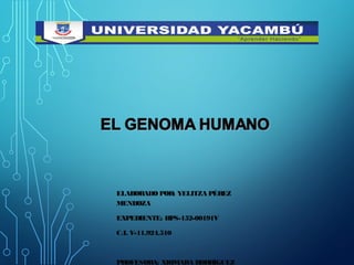 ELABORADO POR: YELITZA PÉREZ
MENDOZA
EXPEDIENTE: HPS-152-00191V
C.I. V-11.924.510
PROFESORA: XIOMARA RODRÍGUEZ
 