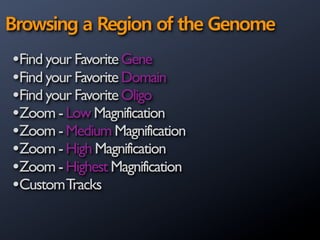 Genome Browser