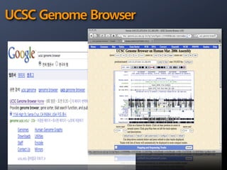 Genome Browser