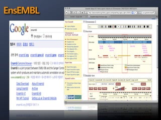 Genome Browser
