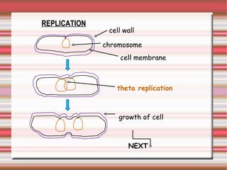 cell wall chromosome cell membrane theta replication growth of cell NEXT REPLICATION 