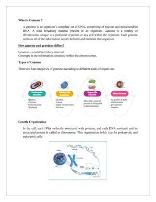 What is Genome ?
A genome is an organism’s complete set of DNA, comprising of nuclear and mitochondrial
DNA. A total hereditary material present in an organism. Genome is a totality of
chromosome, unique to a particular organism or any cell within the organism. Each genome
contains all of the information needed to build and maintain that organism.
How genome and genotype differs?
Genome is a total hereditary material.
Genotype is the information contained within the chromosomes.
Types of Genome
There are four categories of genome according to different kinds of organisms.
Genetic Organization
In the cell, each DNA molecule associated with proteins, and each DNA molecule and its
associated protein is called as chromsome. This organization holds true for prokaryotic and
eukaryotic cells.
 