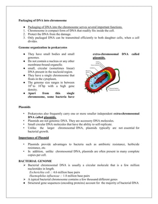 Packaging of DNA into chromosome
● Packaging of DNA into the chromosome serves several important functions.
1. Chromosome is compact form of DNA that readily fits inside the cell.
2. Protect the DNA from the damage.
3. Only packaged DNA can be transmitted efficiently to both daughter cells, when a cell
divides.
Genome organization in prokaryotes
● They have small bodies and small
genomes.
● Do not contain a nucleus or any other
membrane-bound organelle.
● small, circular (sometimes linear)
DNA present in the nucleoid region.
● They have a single chromosome that
floats in the cytoplasm.
● The genome size ranges in between
104
to 107
bp with a high gene
density.
● Apart from this single
chromosome, some bacteria have
extra-chromosomal DNA called
plasmids.
Plasmids
• Prokaryotes also frequently carry one or more smaller independent extra-chromosomal
DNA called plasmids.
• Plasmids are not genomic DNA. They are accessory DNA molecules.
• Small circular DNA molecules that have the ability to self-replicate.
• Unlike the larger chromosomal DNA, plasmids typically are not essential for
bacterial growth.
Importance of Plasmid
• Plasmids provide advantages to bacteria such as antibiotic resistance, herbicide
resistance, etc.
• In addition, unlike chromosomal DNA, plasmids are often present in many complete
copies per cell.
BACTERIAL GENOME
 Bacterial chromosomal DNA is usually a circular molecule that is a few million
nucleotides in length.
Escherichia coli :: 4.6 million base pairs
Haemophilus influenzae :: 1.8 million base pairs
 A typical bacterial chromosome contains a few thousand different genes
● Structural gene sequences (encoding proteins) account for the majority of bacterial DNA
 