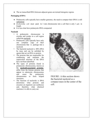 ● The no transcribed DNA between adjacent genes are termed intergenic regions
Packaging of DNA
● Prokaryotic cells typically have smaller genomes, the need to compact their DNA is still
substantial.
● Escherichia coli must pack its 1 mm chromosome into a cell that is only 1 µm in
length.
● It is less clear how prokaryotic DNA compacted.
Nucleoid
• A prokaryotic chromosome is
circular and resides in a cell region
called the nucleoid.
• Prokaryotic cells typically have only
one complete copy of their
chromosome that is package into a
nucleoid.
• The bacterial nucleoid is -80% DNA
by mass and can be unfolded by
agents that act on RNA or protein.
• The proteins that are responsible for
condensing and maintain the
supercoiled structure of the DNA
have not been identified.
● The types of proteins found in
prokaryotic chromosomes, known as
the nucleoid-associated proteins,
differ from the histone proteins that
appear in eukaryotic chromosomes
and cause the prokaryotic
chromosomes to form looped
structures.
• The function of nucleoids is DNA
determines what proteins and
enzymes an organism can synthesize
and, therefore, what chemical
reactions it is able to carry out.
 