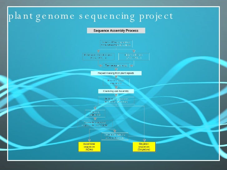 Genome Sequencing Project