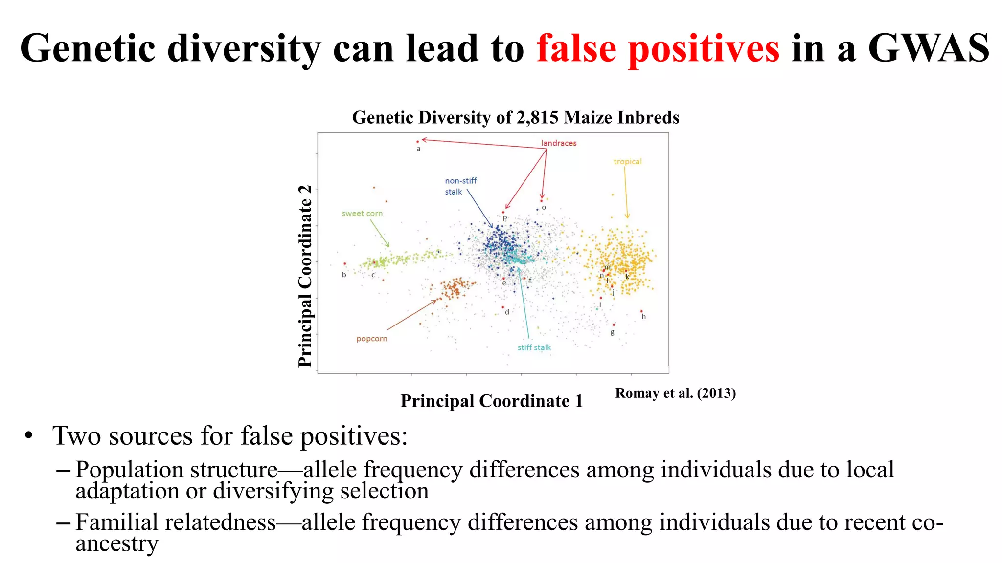 Genome wide association mapping | PDF