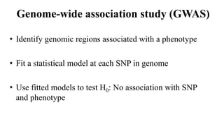 Genome-wide association study (GWAS)
• Identify genomic regions associated with a phenotype
• Fit a statistical model at each SNP in genome
• Use fitted models to test H0: No association with SNP
and phenotype
 