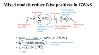 Mixed models reduce false positives in GWAS
• (Line1,…, Linen) ~ MVN(0, )
• K = kinship matrix
• εi ~ i.i.d. N(0, )
Phenotype of ith
individual
Grand Mean
Fixed effects: account
for population
structure
Marker effect
Observed SNP alleles
of ith individual
Random effects:
account for familial
relatedness
Random error
term
Yu et al. (2006)
Measures relatedness between
individuals
 