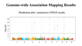 Genome-wide Association Mapping Results
Manhattan plot: summarize GWAS results
 