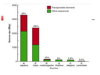 Transposable elements
 