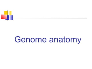 Genome anatomy
 