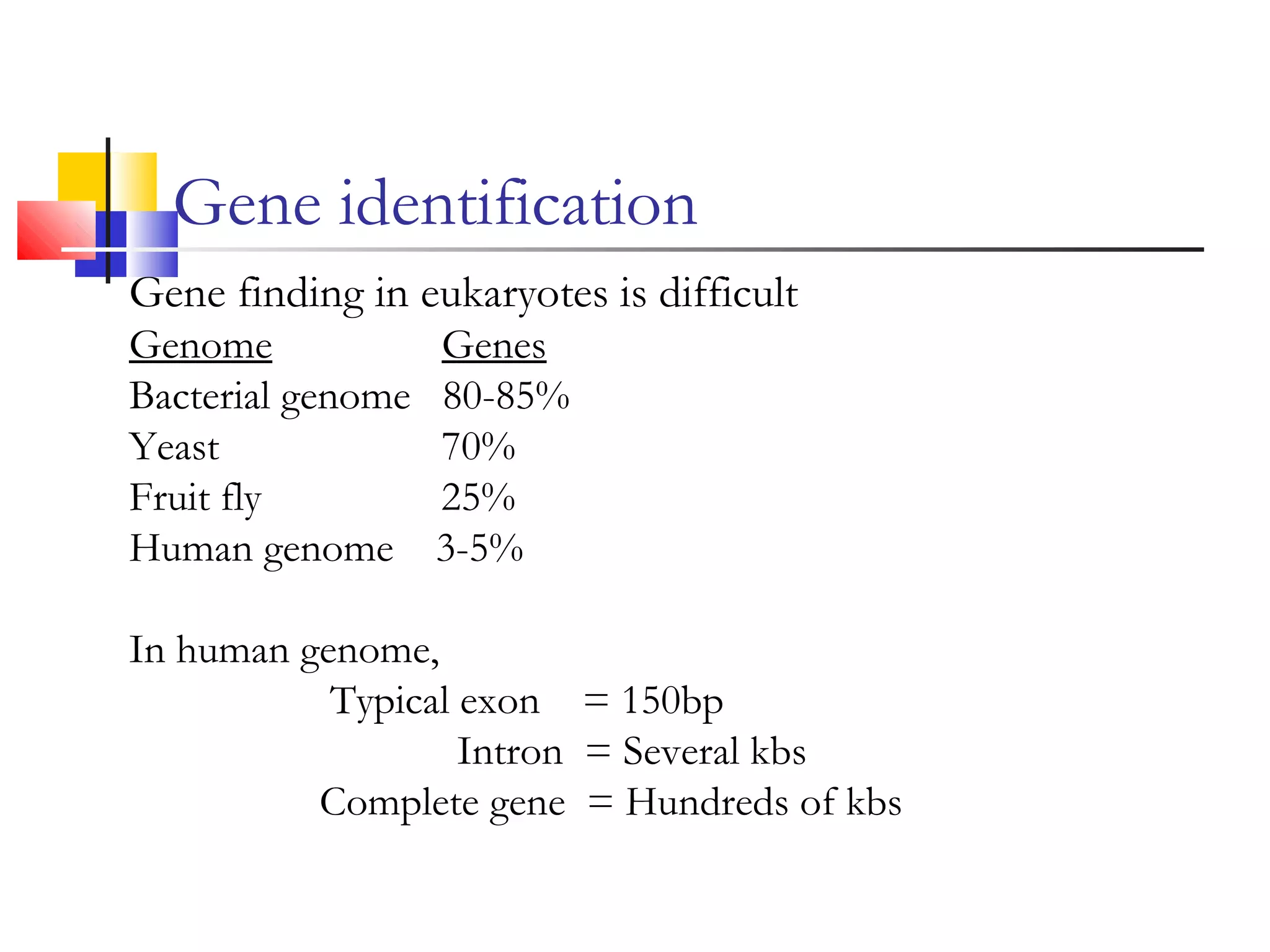 Gene identification
Gene finding in eukaryotes is difficult
Genome Genes
Bacterial genome 80-85%
Yeast 70%
Fruit fly 25%
Human genome 3-5%
In human genome,
Typical exon = 150bp
Intron = Several kbs
Complete gene = Hundreds of kbs
 