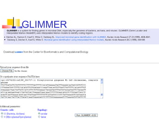 GLIMMER
 
