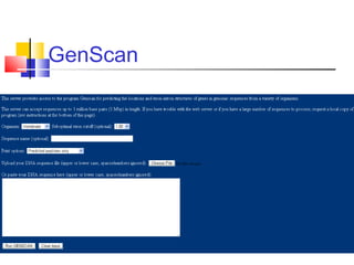 GenScan
 