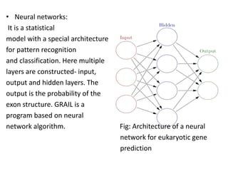 • Neural networks:
It is a statistical
model with a special architecture
for pattern recognition
and classification. Here multiple
layers are constructed- input,
output and hidden layers. The
output is the probability of the
exon structure. GRAIL is a
program based on neural
network algorithm. Fig: Architecture of a neural
network for eukaryotic gene
prediction
 